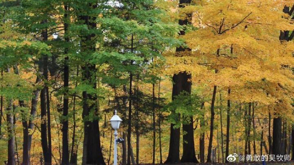 刚刚视频推广定制化开发您的 OA 系统:24小时不间断曝光的秘密,4月1日含义是81192