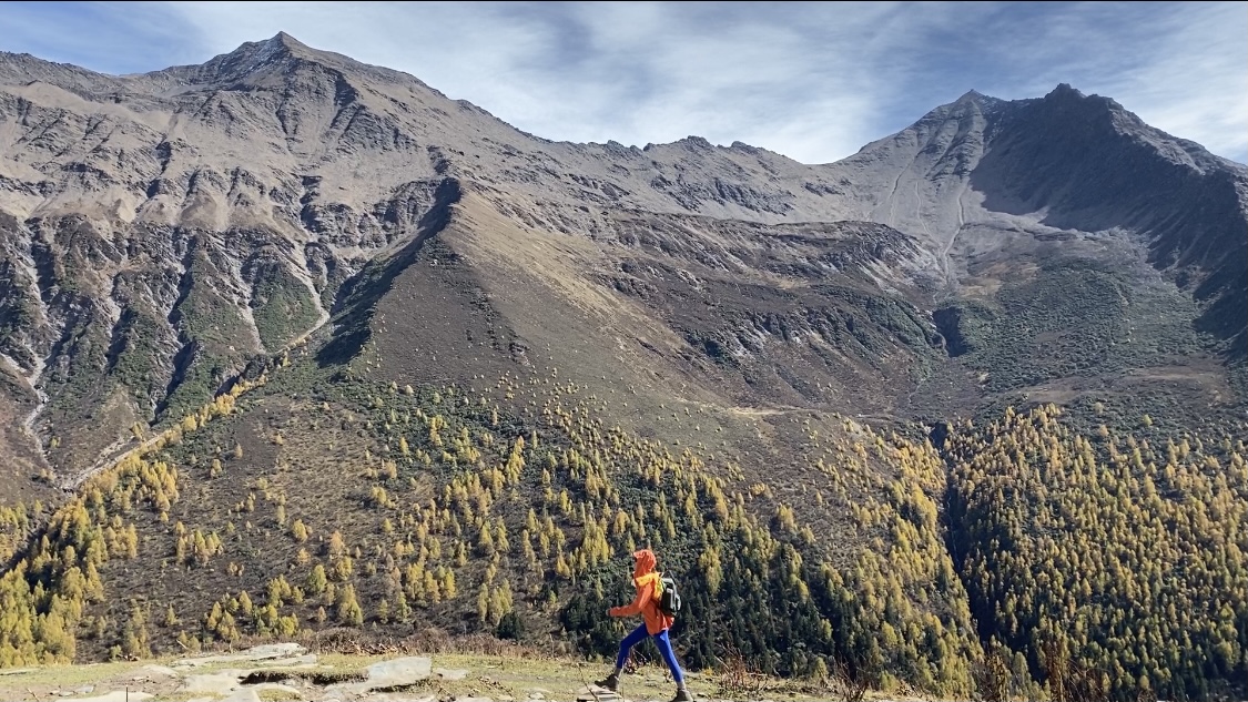 DY人气自助下单